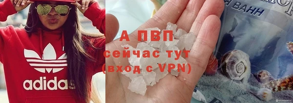 mdpv Волоколамск