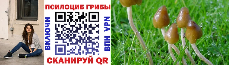Галлюциногенные грибы ЛСД  Бородино 
